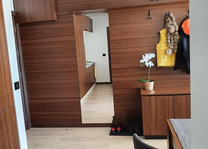 Mk Zoned 2 Spa&wellness 公寓 Čajetina